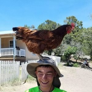 Meet your Posher, Thomas